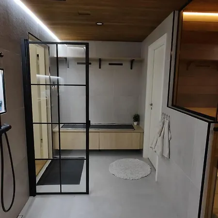 Snowy Owl * Rovaniemi