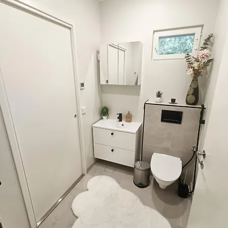 Snowy Owl Рованиеми