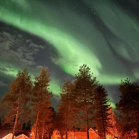 Snowy Owl דירה *