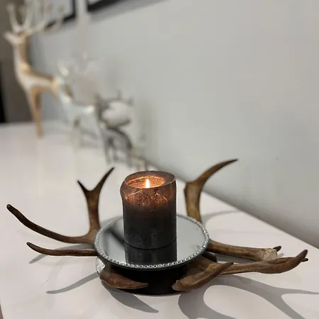 Snowy Owl Апартаменты *