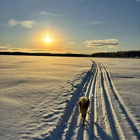 Snowy Owl Apartment Rovaniemi