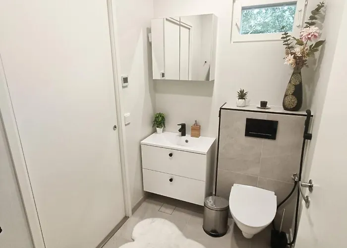 Snowy Owl רובניימי