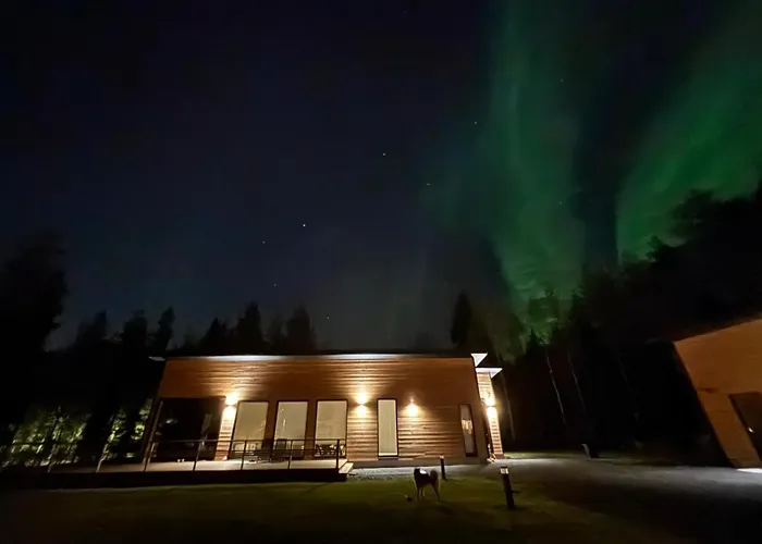 דירה Snowy Owl רובניימי