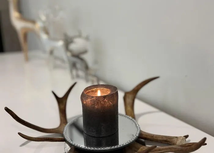 Snowy Owl דירה *