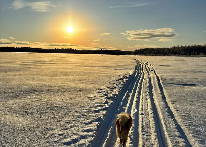 Snowy Owl דירה רובניימי